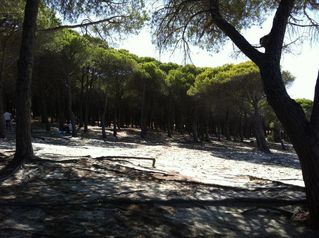 Case Vacanze Budoni Beach Стая снимка